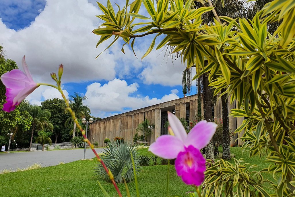 Sessões, CCJR e palestraS, movimentam a semana na ALEMS