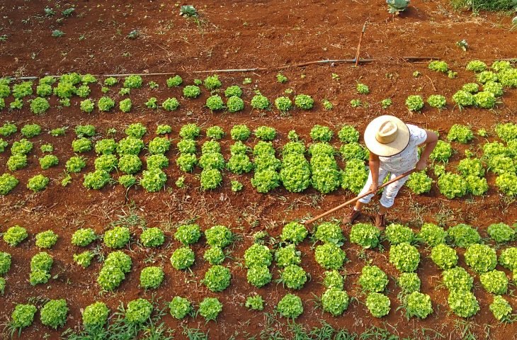 Agraer fortalece acesso ao crédito rural em prol de projetos para quem vive do campo