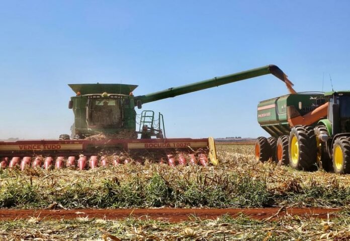 Safra de soja entra na reta final em MS com quase 95% da área colhida