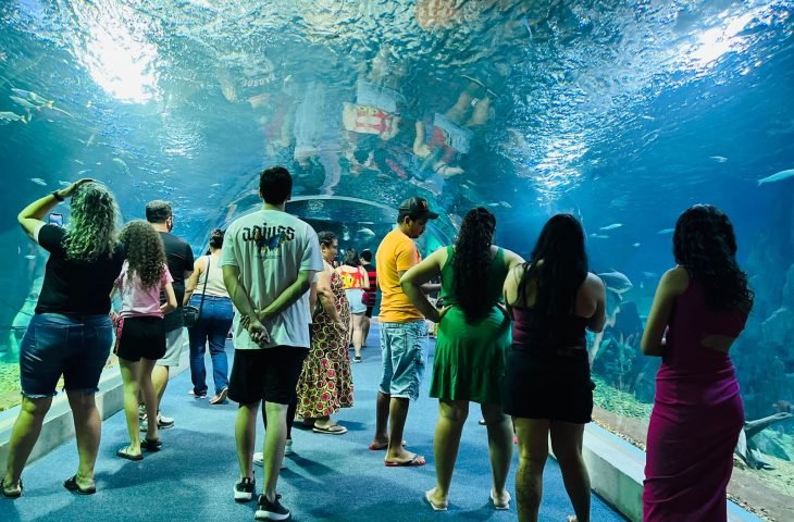 Bioparque Pantanal sediará encontro nacional de zoológicos e aquários brasileiros