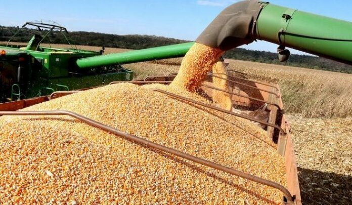 Safra de soja cresce 26% em MS mesmo após seca atingir 640 mil hectares