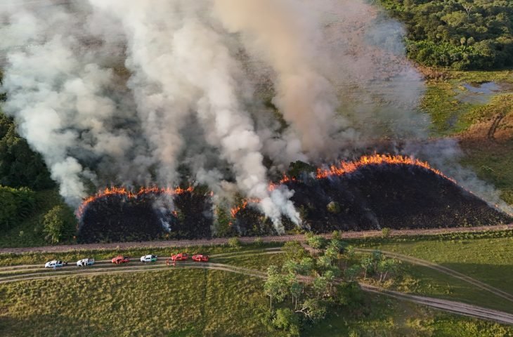 Imasul e Bombeiros fortalecem ações preventivas contra incêndios no Pantanal