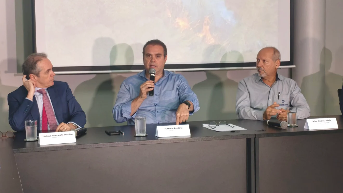‘Não sei como a sociedade aceita isso’, diz Bertoni sobre violência e novas invasões rurais