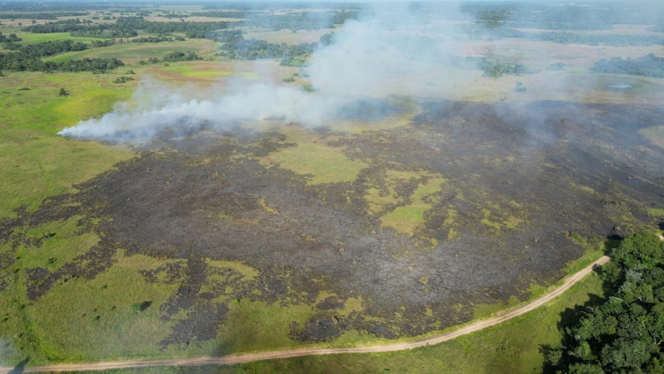 Seca extrema e risco no Pantanal fazem governo decretar emergência ambiental em MS