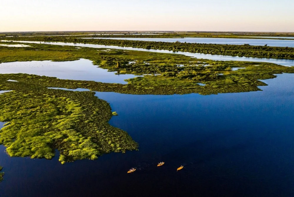 Estudo revela que Pantanal perdeu cerca de 80% de suas águas superficiais