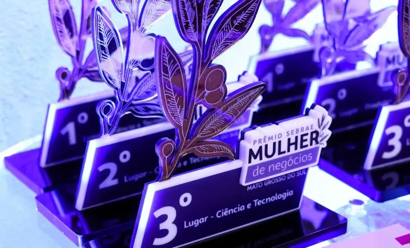 Sebrae divulga finalistas do Prêmio Mulher de Negócios 2026