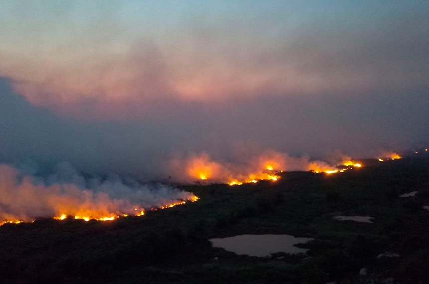 Fiscalização identifica 348 hectares de desmatamento ilegal em MS