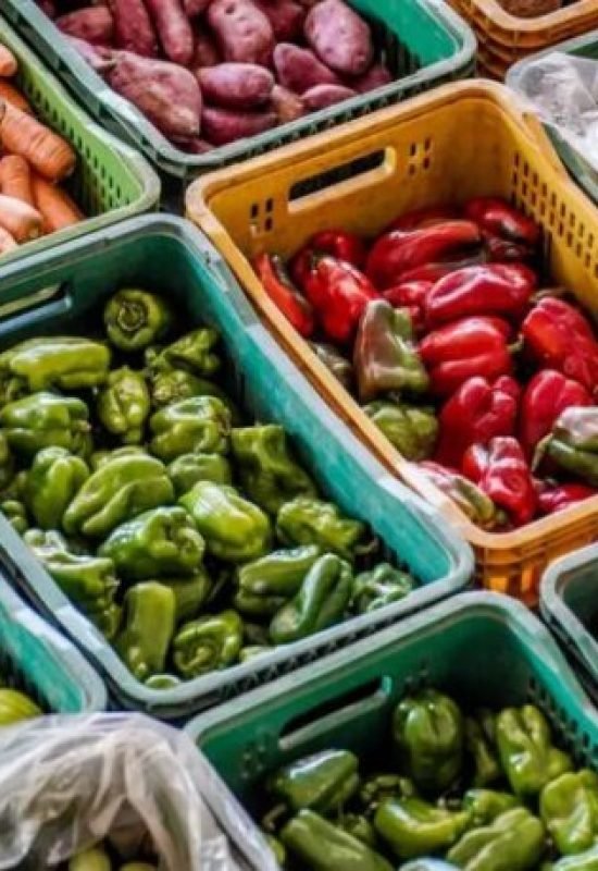 MS identifica 13,8 mil domicílios com risco de insegurança alimentar